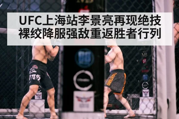 MMA cage fight