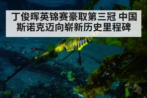 丁俊晖英锦赛豪取第三冠 中国斯诺克迈向崭新历史里程碑